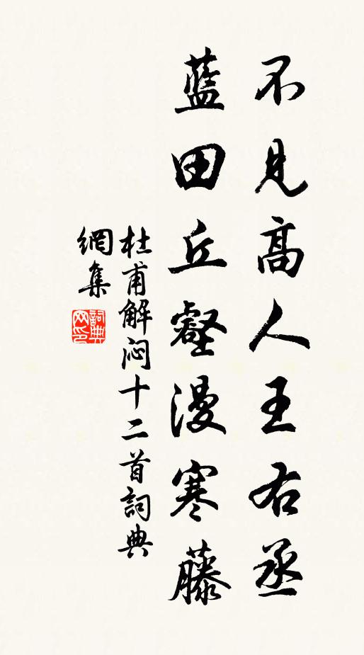 杜甫不见高人王右丞，蓝田丘壑漫寒藤书法作品欣赏