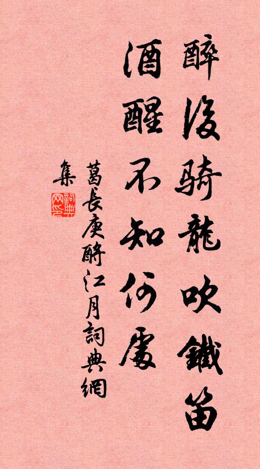 葛长庚醉后骑龙吹铁笛，酒醒不知何处书法作品欣赏