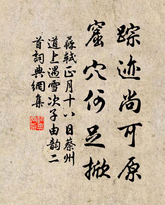 苏轼踪迹尚可原，窟穴何足掀书法作品欣赏