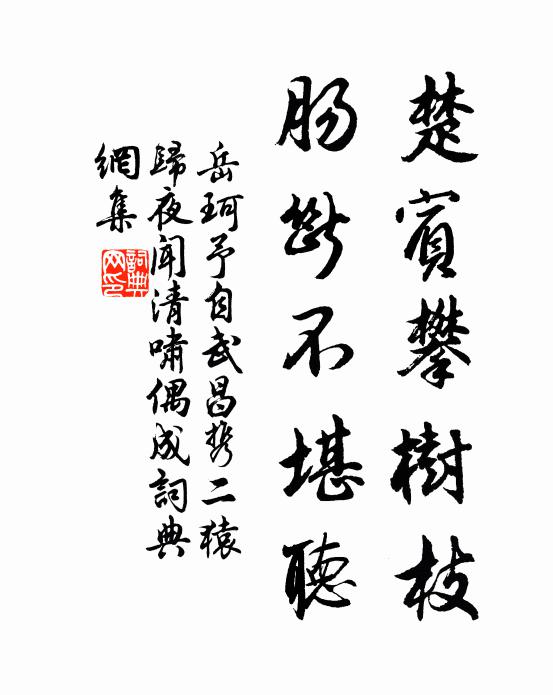 岳珂楚宾攀树枝，肠断不堪听书法作品欣赏