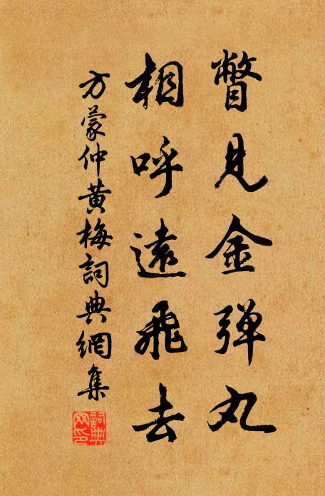 方蒙仲瞥见金弹丸，相呼远飞去书法作品欣赏
