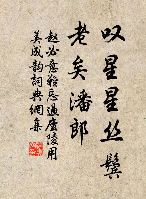 赵必叹星星丝鬓，老矣潘郎书法作品欣赏