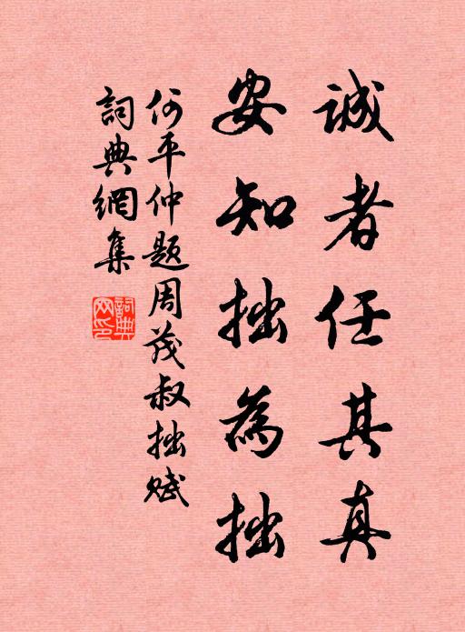 何平仲诚者任其真，安知拙为拙书法作品欣赏