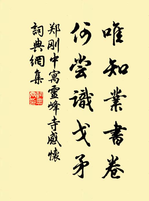 郑刚中唯知业书卷，何尝识戈矛书法作品欣赏