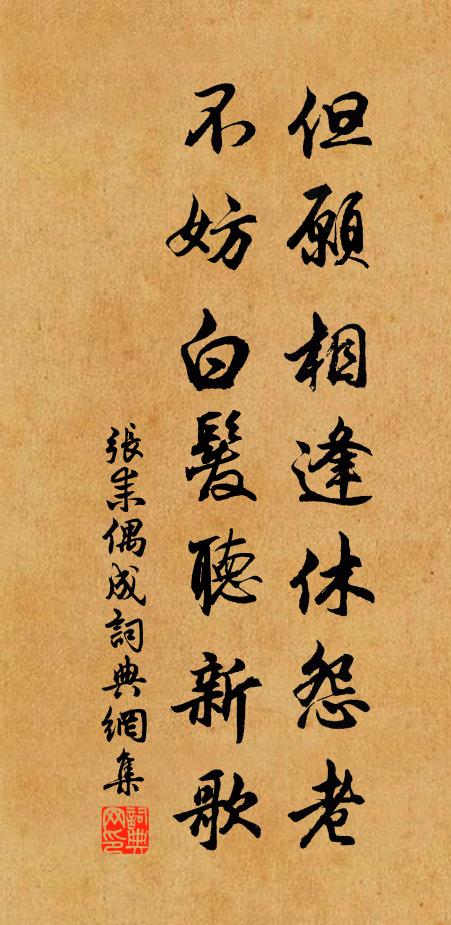 张耒但愿相逢休怨老，不妨白发听新歌书法作品欣赏