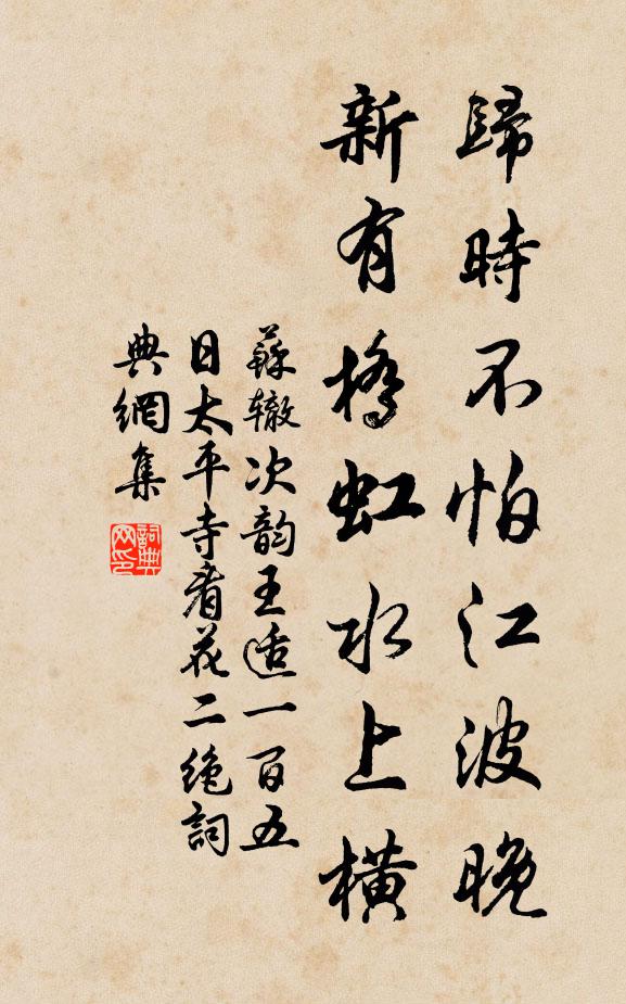 苏辙归时不怕江波晚，新有桥虹水上横书法作品欣赏