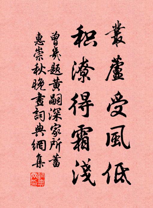 曾几丛芦受风低，积潦得霜浅书法作品欣赏