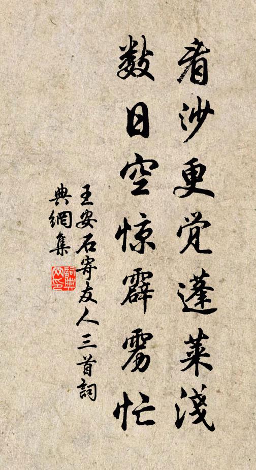 王安石看沙更觉蓬莱浅，数日空惊霹雳忙书法作品欣赏