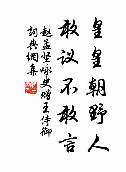 赵孟坚皇皇朝野人，敢议不敢言书法作品欣赏