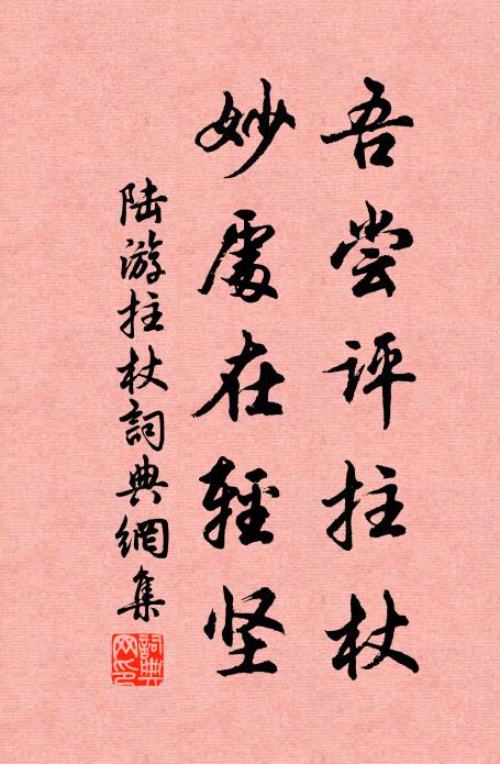 陆游吾尝评拄杖,妙处在轻坚书法作品欣赏