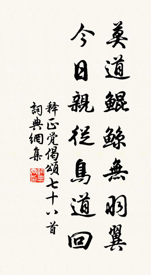 释正觉莫道鲲鲸无羽翼，今日亲从鸟道回书法作品欣赏