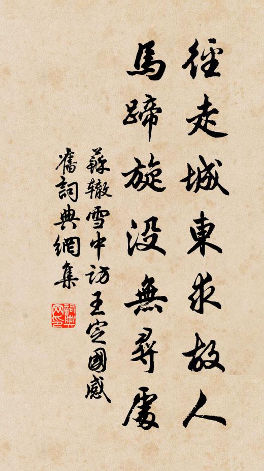 苏辙径走城东求故人，马蹄旋没无寻处书法作品欣赏