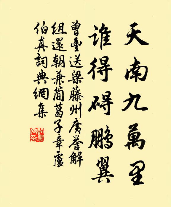 曾丰天南九万里，谁得碍鹏翼书法作品欣赏