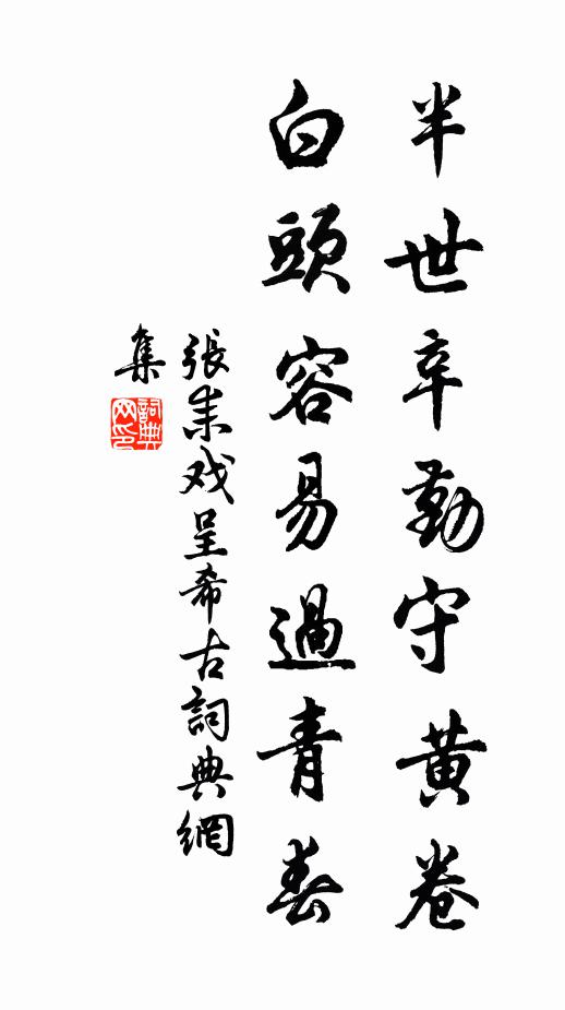张耒半世辛勤守黄卷，白头容易过青春书法作品欣赏