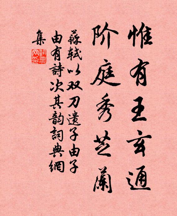 苏轼惟有王玄通，阶庭秀芝兰书法作品欣赏