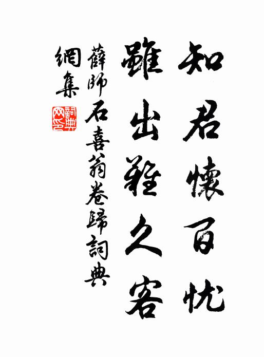 薛师石知君怀百忧，虽出难久客书法作品欣赏