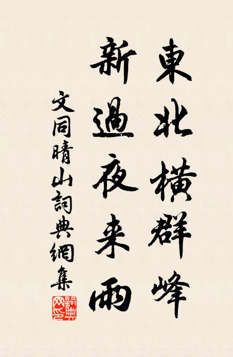 文同东北横群峰，新过夜来雨书法作品欣赏