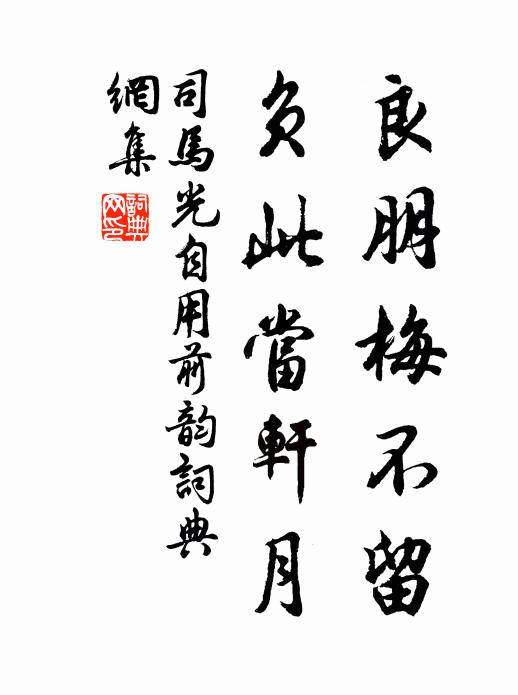 司马光良朋梅不留，负此当轩月书法作品欣赏