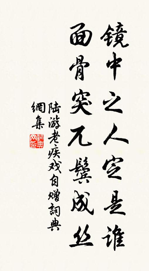陆游镜中之人定是谁，面骨突兀鬓成丝书法作品欣赏