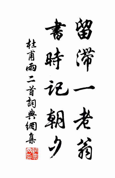 杜甫留滞一老翁，书时记朝夕书法作品欣赏
