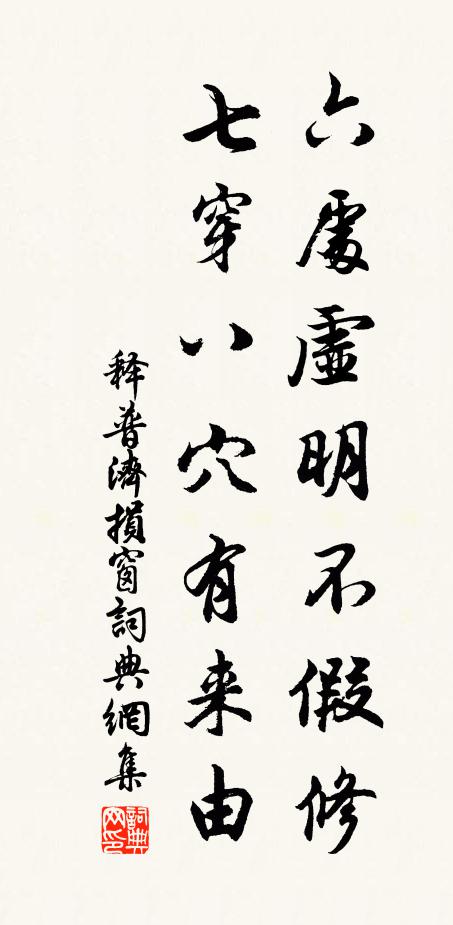 释普济六处虚明不假修，七穿八穴有来由书法作品欣赏