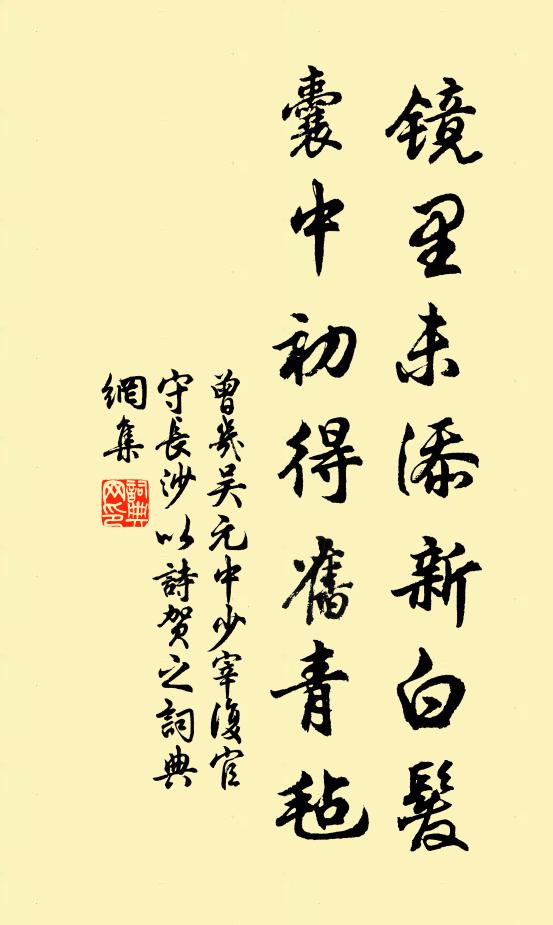 曾几镜里未添新白发，囊中初得旧青毡书法作品欣赏
