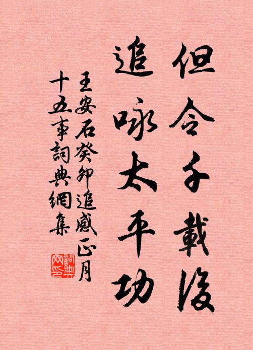 王安石但令千载后，追咏太平功书法作品欣赏