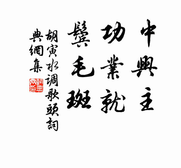 胡寅中兴主，功业就，鬓毛斑书法作品欣赏