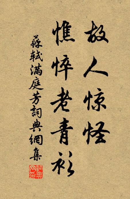 苏轼故人惊怪，憔悴老青衫书法作品欣赏