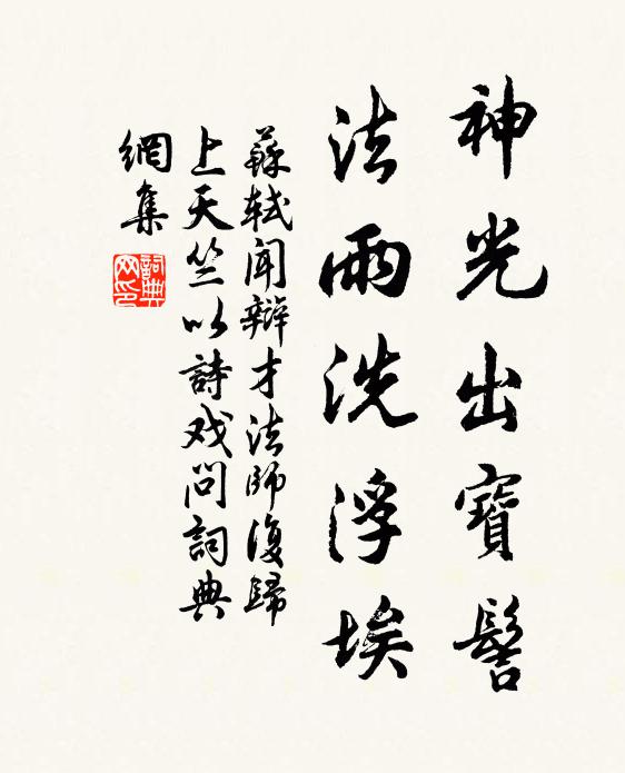 苏轼神光出宝髻，法雨洗浮埃书法作品欣赏