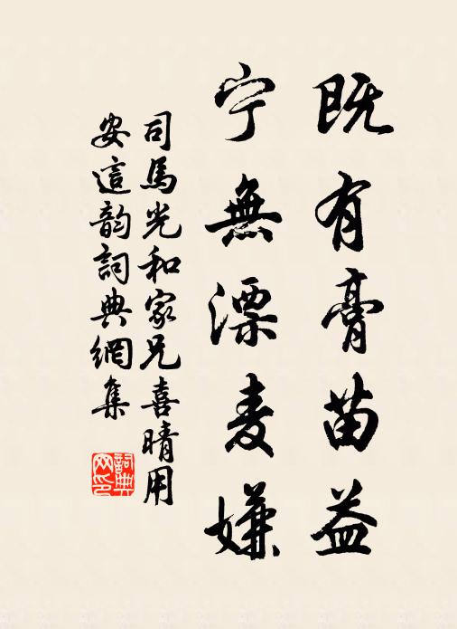 司马光既有膏苗益，宁无漂麦嫌书法作品欣赏