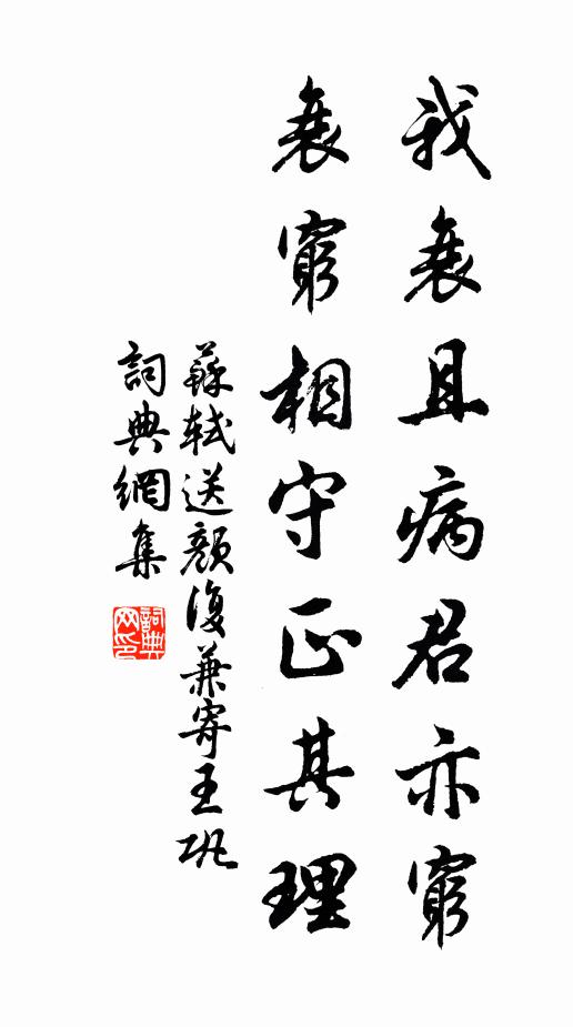 苏轼我衰且病君亦穷，衰穷相守正其理书法作品欣赏