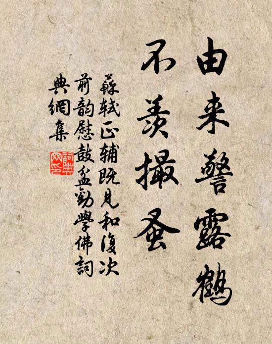 苏轼由来警露鹤，不羡撮蚤书法作品欣赏