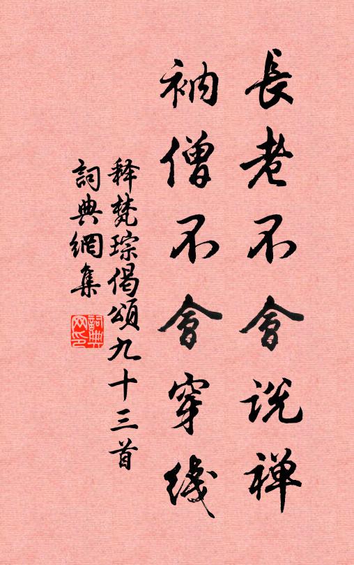 释梵琮长老不会说禅，衲僧不会穿线书法作品欣赏
