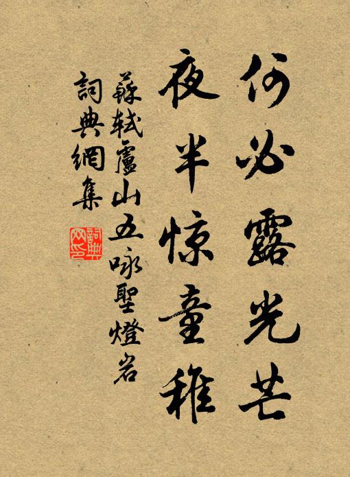 苏轼何必露光芒，夜半惊童稚书法作品欣赏
