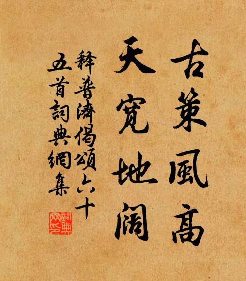 释普济古策风高，天宽地阔书法作品欣赏