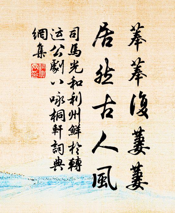 司马光菶菶复萋萋，居然古人风书法作品欣赏