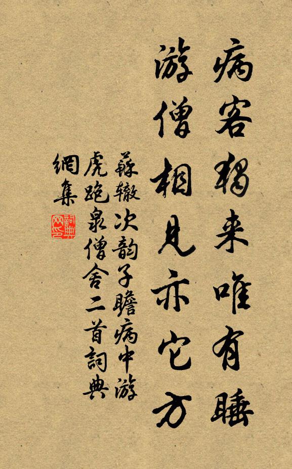 苏辙病客独来唯有睡，游僧相见亦它方书法作品欣赏