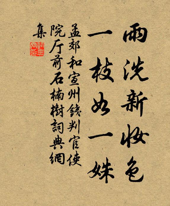 孟郊雨洗新妆色，一枝如一姝书法作品欣赏