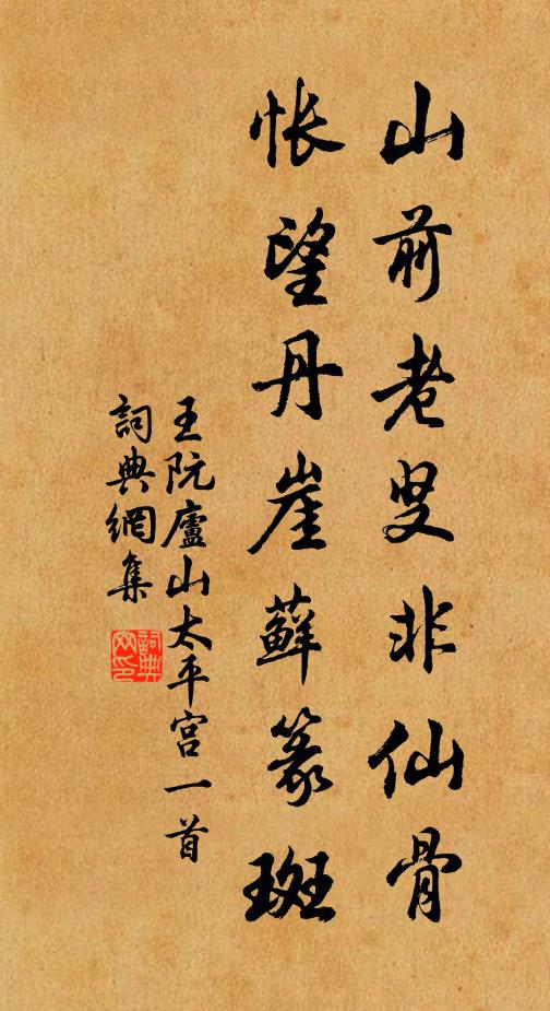 王阮山前老叟非仙骨，怅望丹崖藓篆斑书法作品欣赏