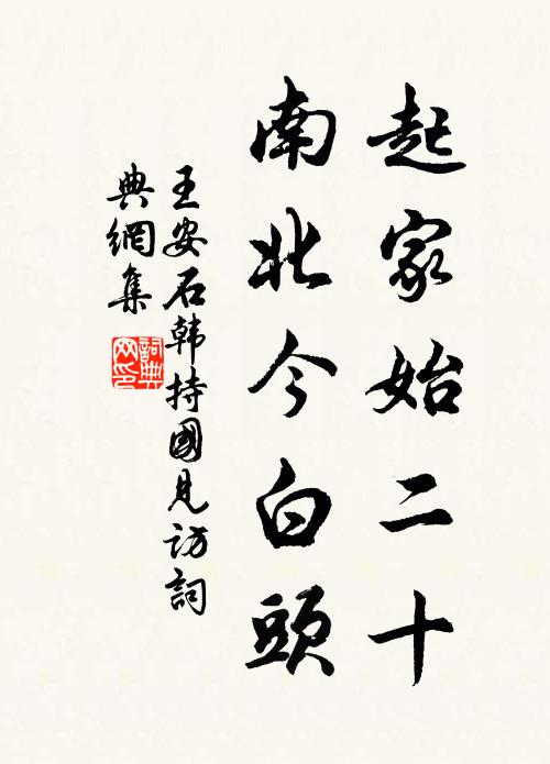 王安石起家始二十，南北今白头书法作品欣赏