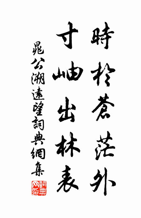 晁公溯时于苍茫外，寸岫出林表书法作品欣赏