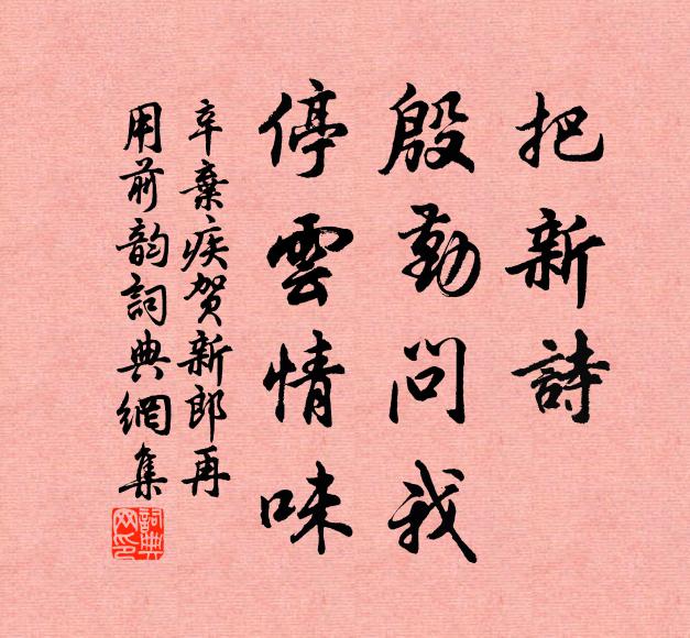 辛弃疾把新诗、殷勤问我，停云情味书法作品欣赏