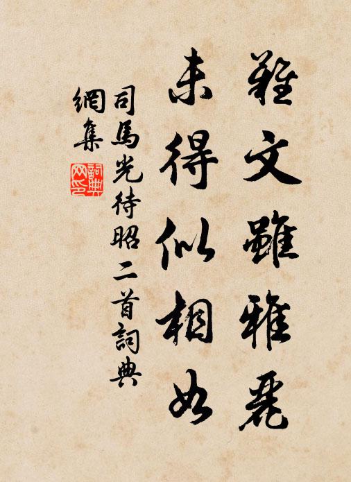 司马光难文虽雅丽，未得似相如书法作品欣赏
