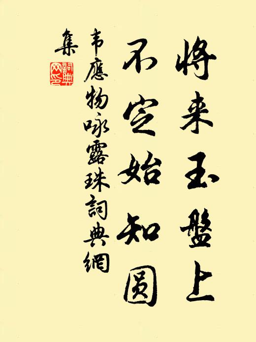 韦应物将来玉盘上，不定始知圆书法作品欣赏