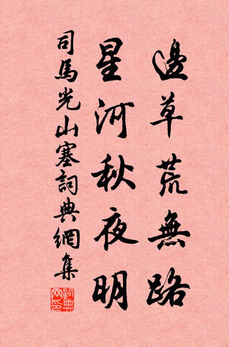 司马光边草荒无路，星河秋夜明书法作品欣赏