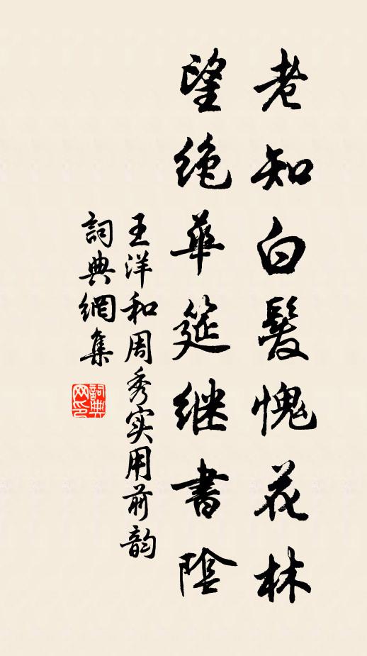 王洋老知白发愧花林，望绝华筵继书阴书法作品欣赏