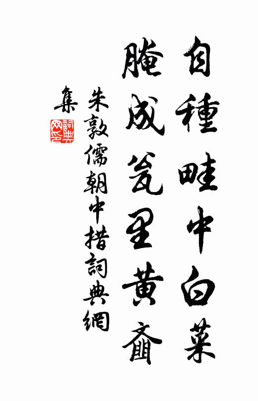 朱敦儒自种畦中白菜，腌成瓮里黄齑书法作品欣赏
