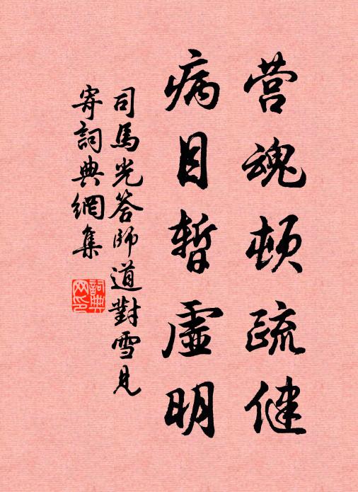 司马光营魂顿疏健，病目暂虚明书法作品欣赏