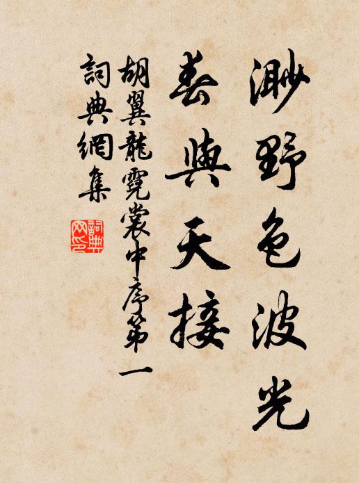 胡翼龙渺野色波光，春与天接书法作品欣赏